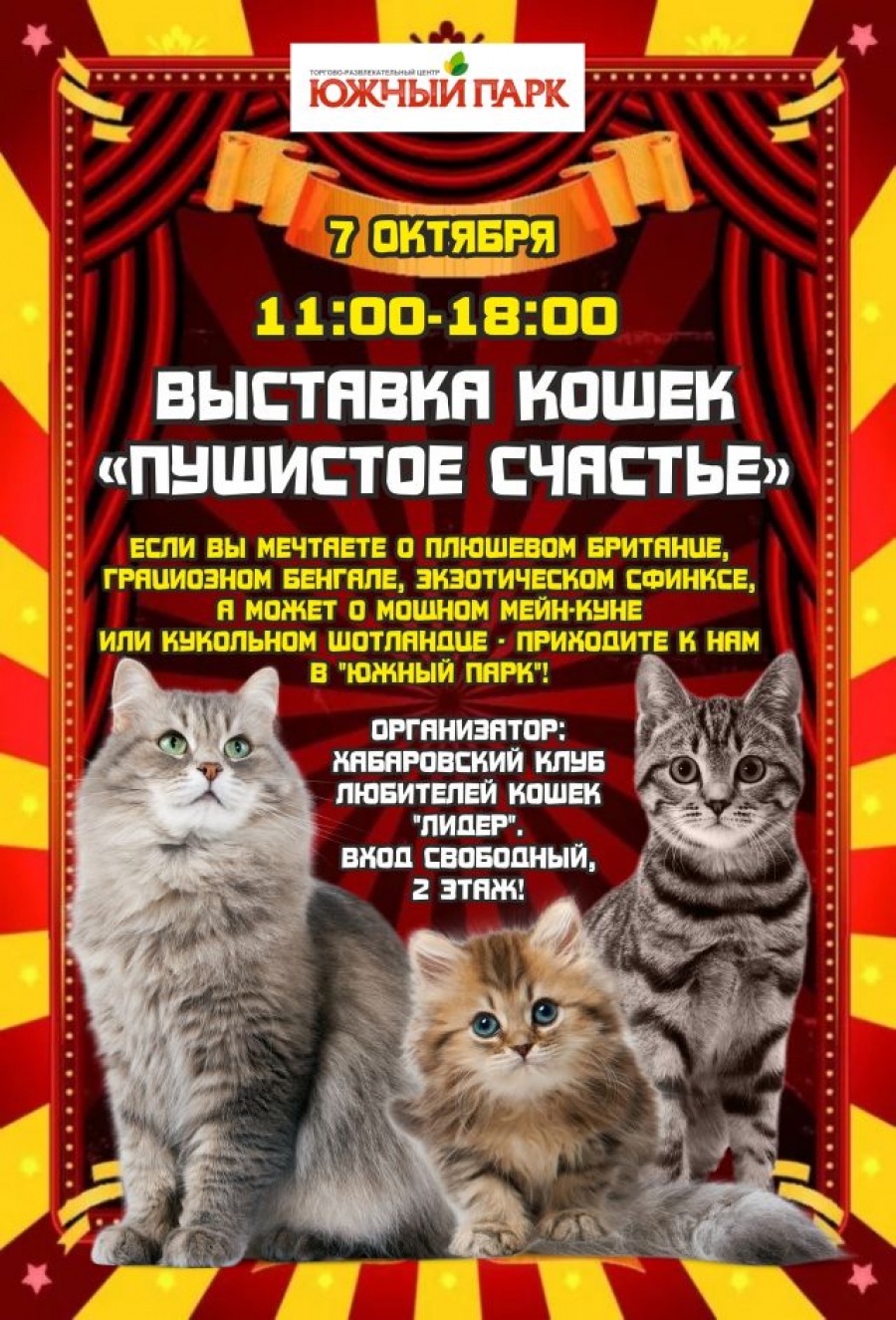 Выставка кошек 